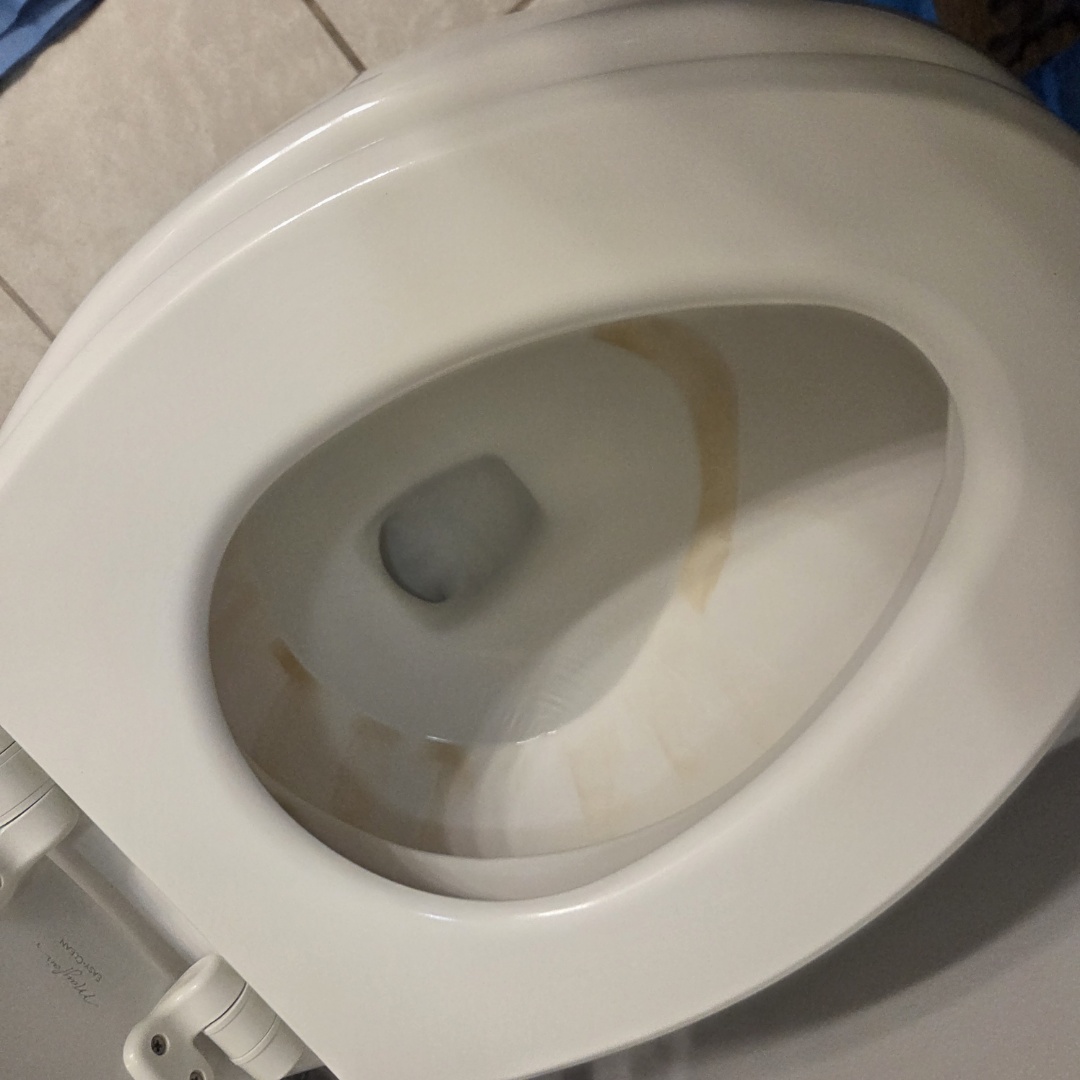 new toilet 