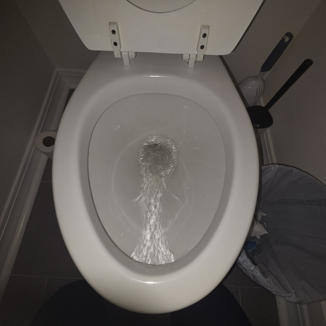 toilet