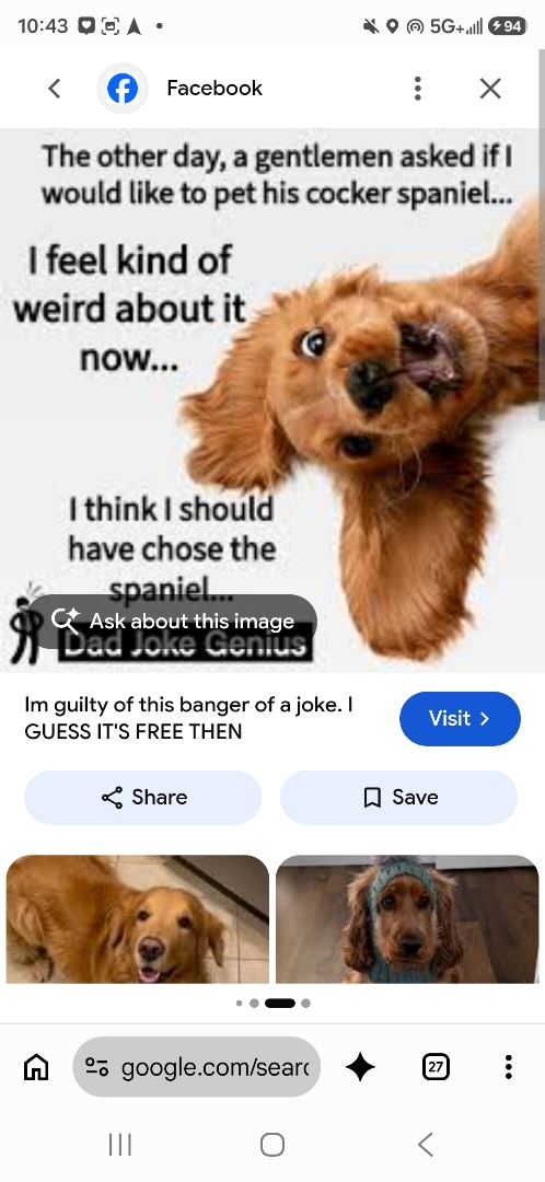 plumber needed 

Water whales, water treatment, water, filtration, water faucets, water hoses, water leaks, gas leaks stopped up. Drains, water fountains, wet, puppy dogs. There's not much we can't fix