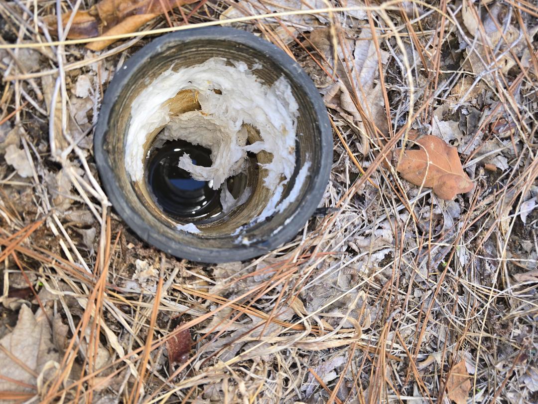 plumber needed 
Water heaters, tankless, water heaters, water treatment water gabage disposal stopped up drains 