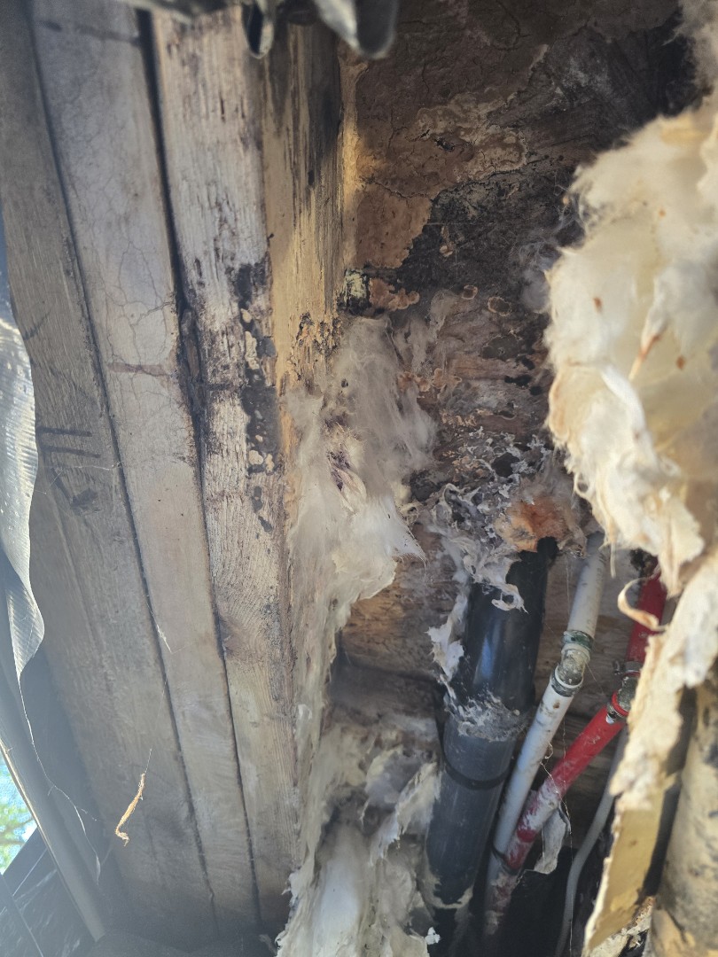 plumber needed 
water wells water treatment water filtration water heaters tankless water heaters water leaks gas leaks sewer leaks or stopages 