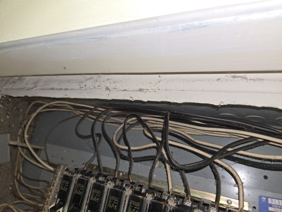 eletricion needed 
Breaker panels wall outlets generators generator plugs, fuse boxes, sparking wires, hot wires, blinken lights, dimming lights all things electric, we do it give us a call.