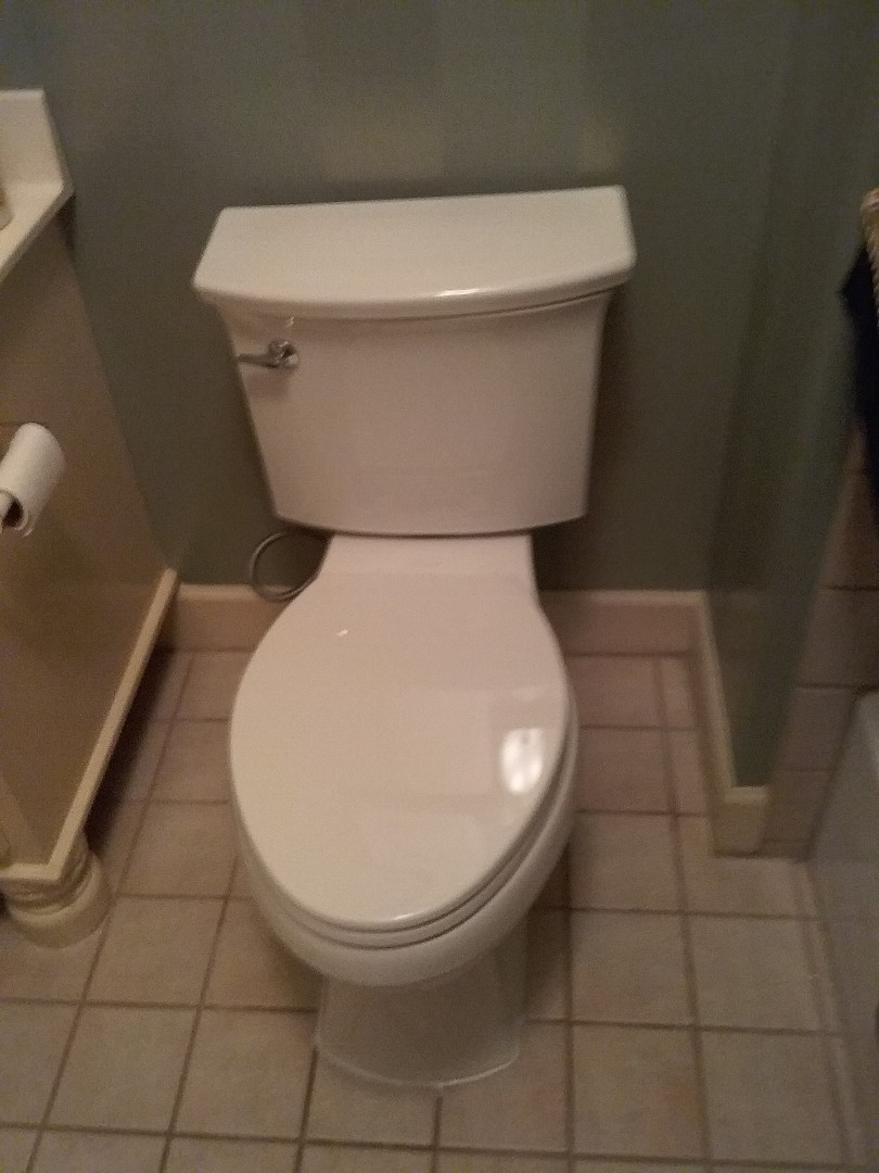 Plumbing and gas. Installed new toilet 