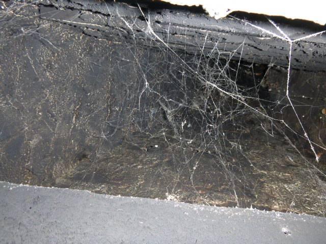 A formerly unused fireplace with interior damage repaired by Heatshield Cerfractory sealant – more economical than a fireplace liner.