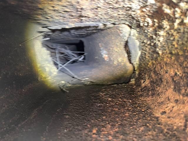 In Norwalk CT, our client had some leftover nesting materials from the chimney swifts in the chimney. We did a cleaning of the materials so that the client could safely use their fireplace and furnace.