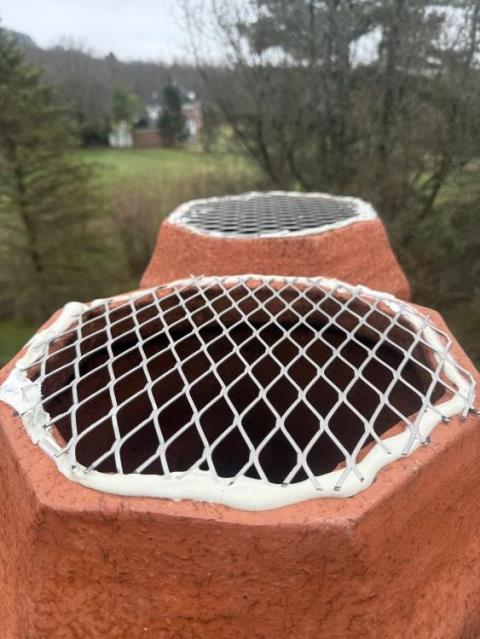 Installed stainless steel critter guards on all six flues to resolve an ongoing bird entry problem without changing the aesthetic. It doesn’t keep out the rain , but it does keep out the critters.