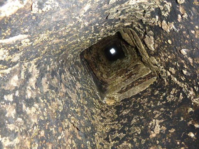 The high-efficiency oil burner is causing condensation that mixes with soot to form sulfuric acid, which has severely damaged the chimney’s flue tiles and mortar joints, leading to structural deterioration. Installing a properly sized stainless steel liner from the boiler to the chimney top will ensure safe venting and protect the chimney’s structure from further acid damage.