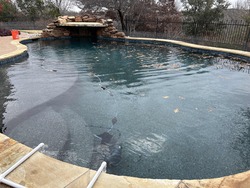 Before and after a weekly pool service stop by Island Time Pool Service in Fort Worth!