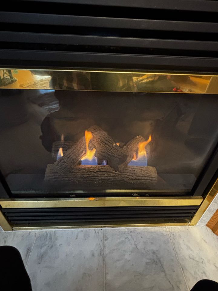 Fireplace service call