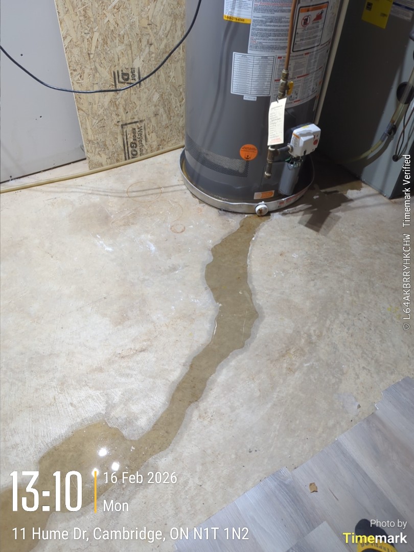 diagnose leaking water heater