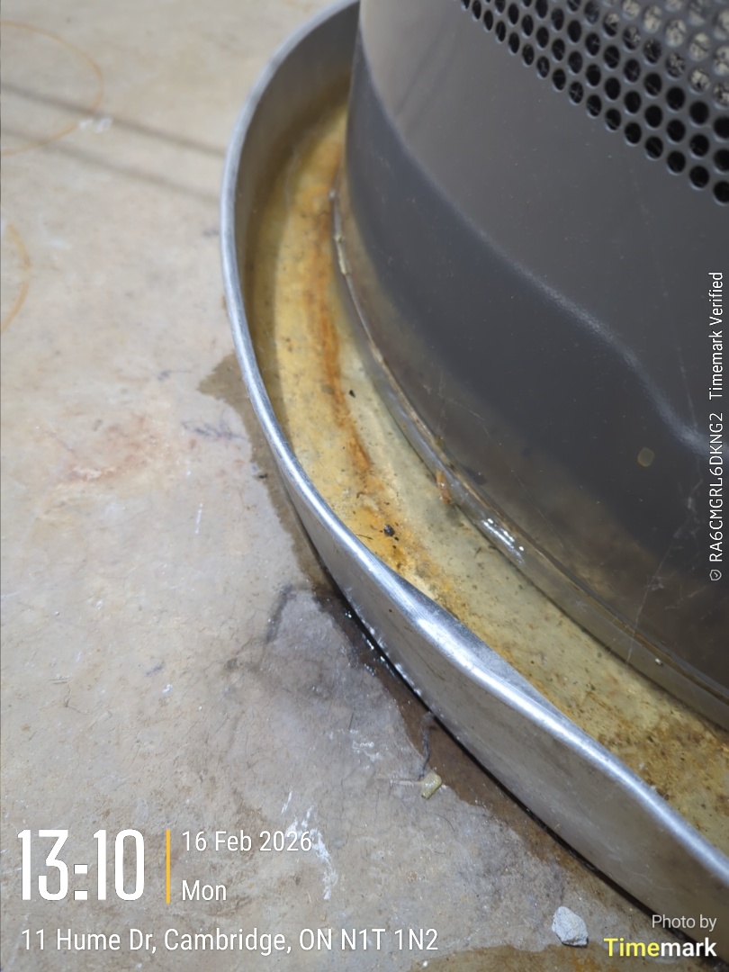 diagnose leaking water heater