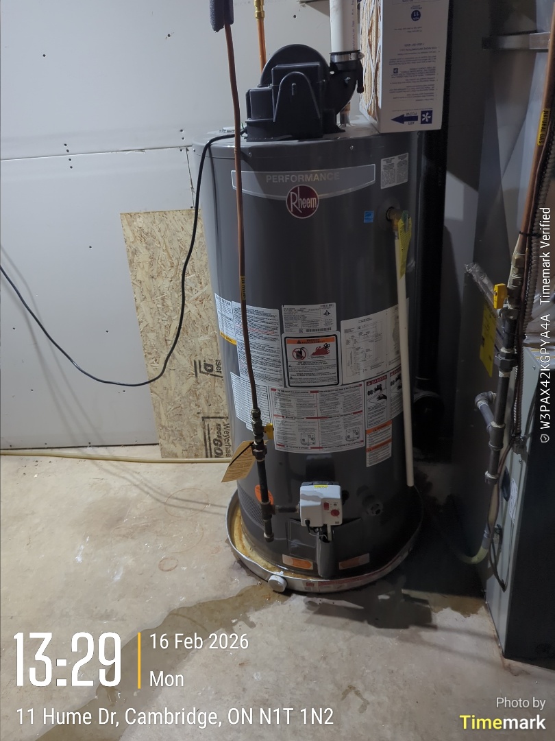 diagnose leaking water heater
