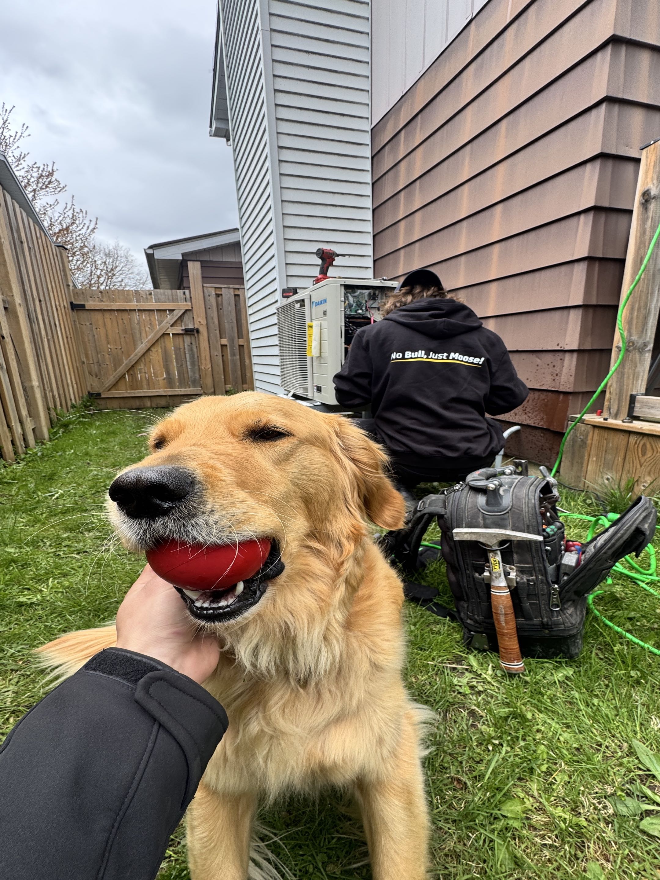 Heat pump with dog
