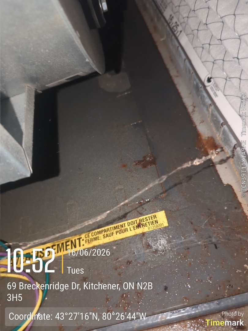water on the floor drain tube clogged