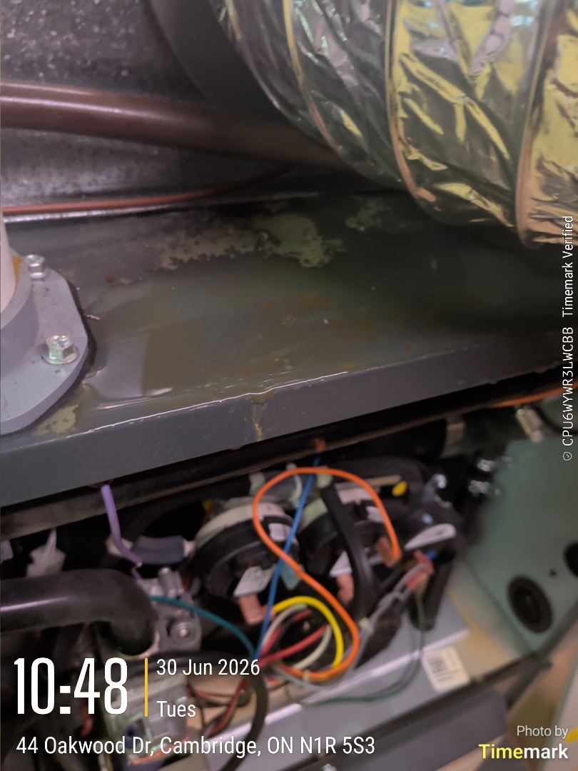 water found near furnace