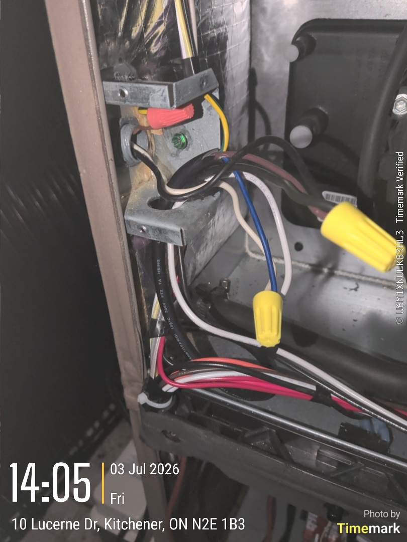 water found on mechanical room floor. condensate pump not wired correctly

Tech:Phil