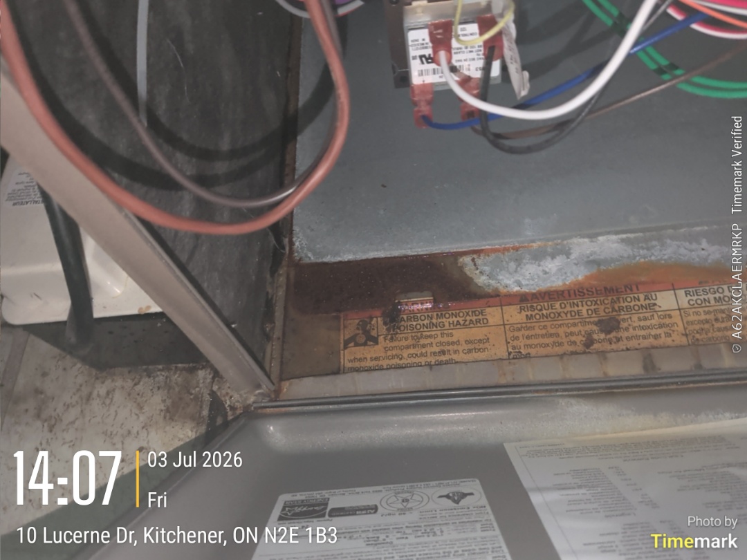 water found on mechanical room floor. condensate pump not wired correctly

Tech:Phil