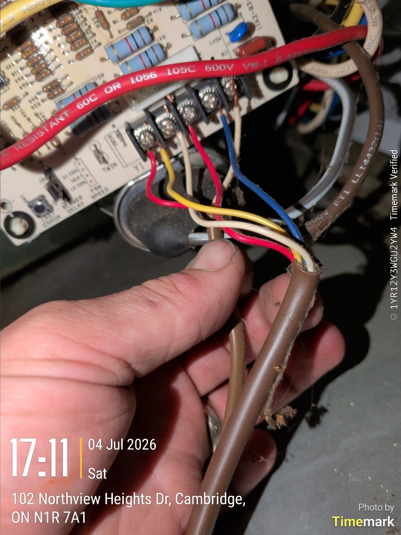 Ac not cooling common wire cell loose from terminal strip

Tech:Phil