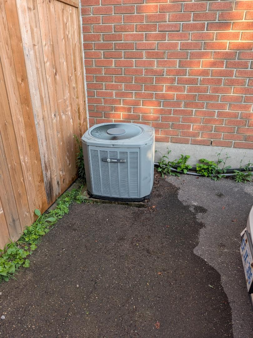 no cooling. call back capacitor and low refrigerant on 16-year-old trane condenser

Tech:Phil