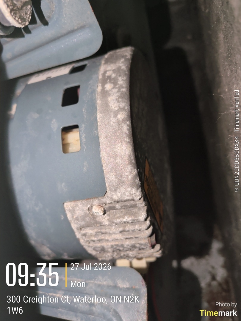 no power to furnace. tripped breaker, bad blower motor