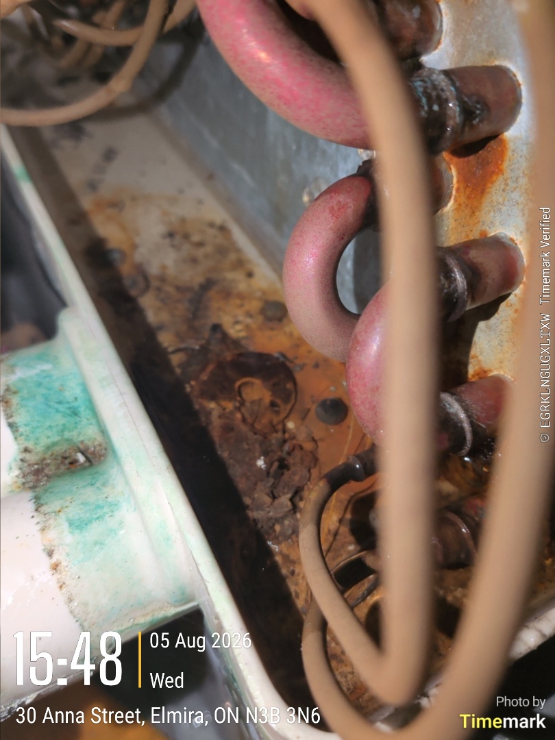 plugged condensate and