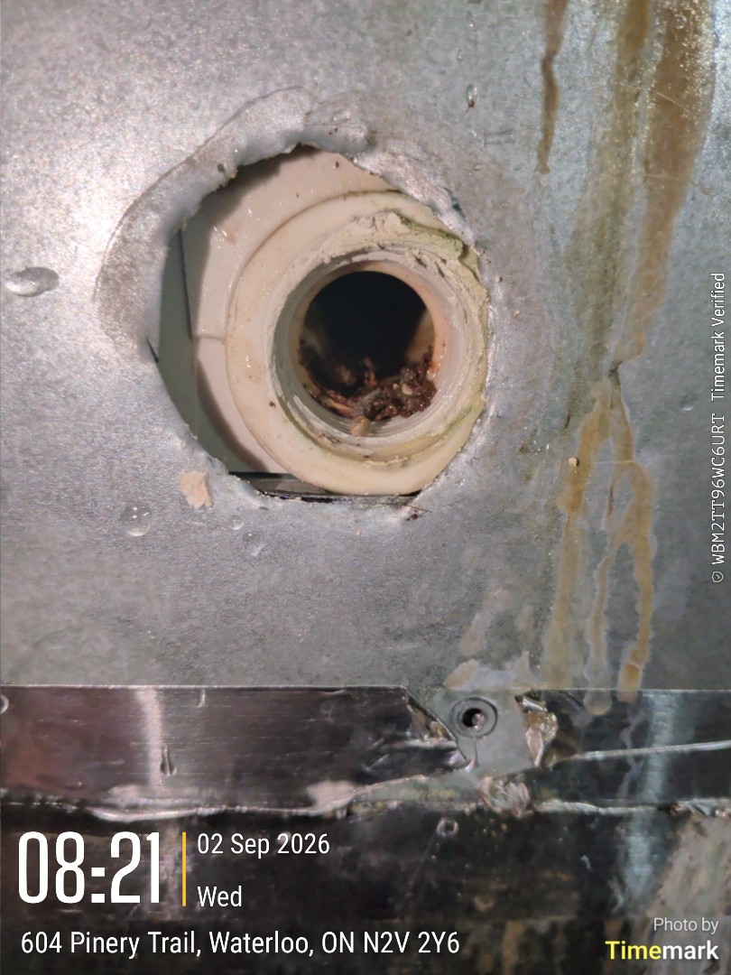 clogged condensate