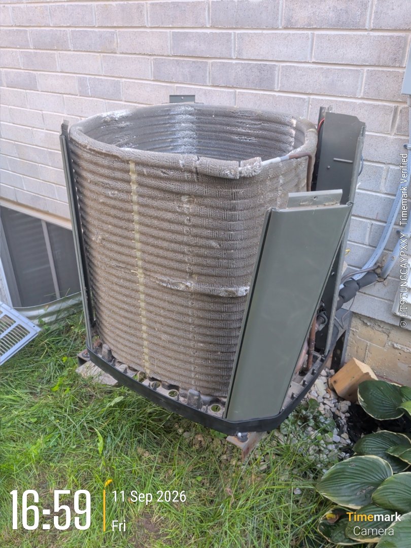 Ac tunip