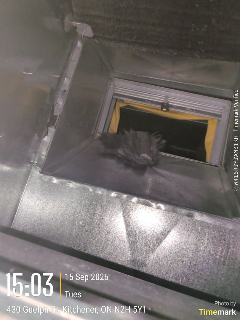 service call smell coming from Dr. work
