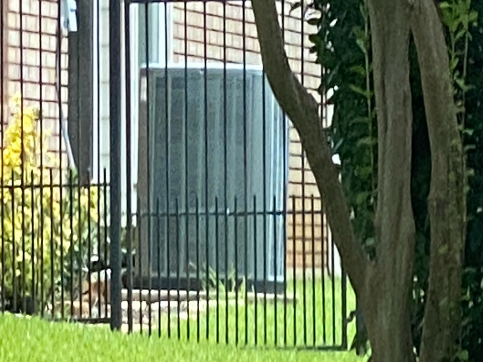 Colleyville, TX - The homeowner in Colleyville called requesting an AC repair because their 12 year old American standard air conditioner wasn’t cooling properly. We arrived to find that the thermostat had failed and was not giving a call for cool. We replaced with a Honeywell T for pro and got the system operational. We did a complete check on the HVAC units and found everything to be within manufacturers recommended specifications. Colleyville, TX - The homeowner in Colleyville called requesting an AC repair because their 12 year old American standard air conditioner wasn’t cooling properly. We arrived to find that the thermostat had failed and was not giving a call for cool. We replaced with a Honeywell T for pro and got the system operational. We did a complete check on the HVAC units and found everything to be within manufacturers recommended specifications.