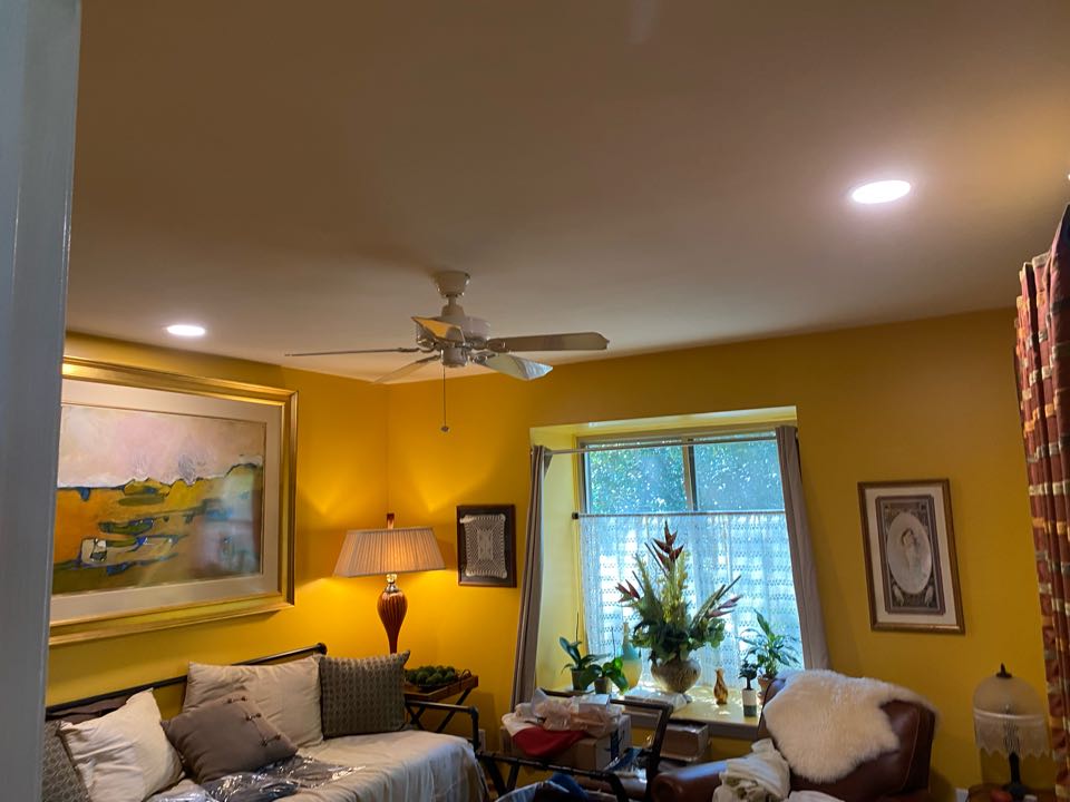 Installed wafer lights, dimmer switches & hanging lights. 