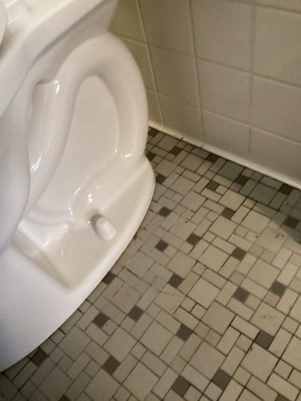 Successfully installed new American Standard toilet in customer's bathroom, replacing previous fixture. Properly secured toilet to floor with appropriate sealing and ensured proper function with test flush. Installation completed within quoted 2-hour timeframe.