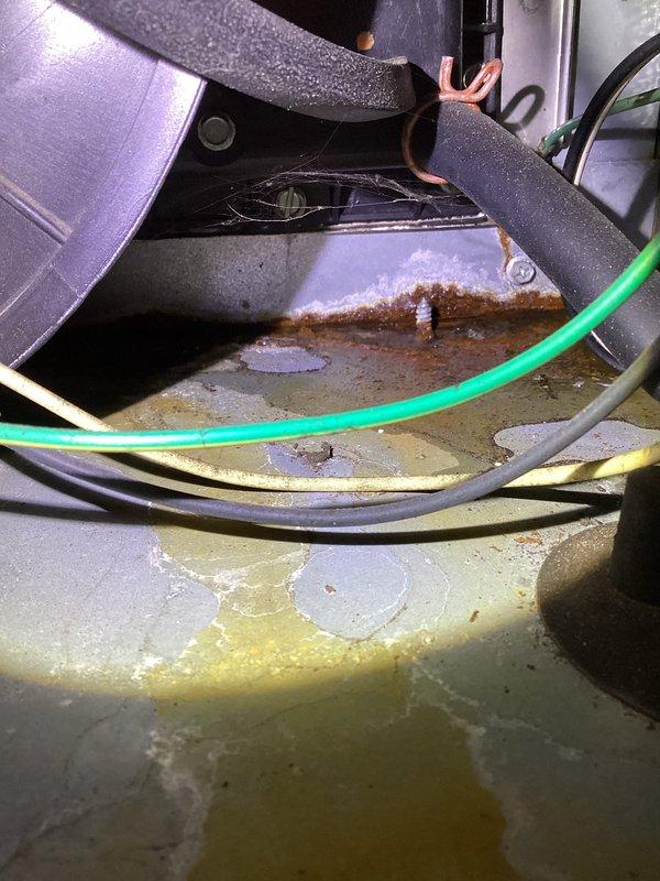 Performed annual heating tune-up on 16-year-old furnace. Discovered significant corrosion issues with standing water and rust formation on the heat exchanger. Documented evidence of moisture damage affecting electrical components and metal surfaces throughout the system.
