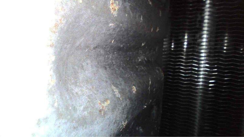 Performed annual heating maintenance on 13-year-old Bryant furnace. Inspected heat exchanger and cooling coils, which showed normal wear with minor discoloration but no significant corrosion or damage. System is functioning properly with no operational issues identified. Completed standard tune-up procedures as part of complimentary annual service.
