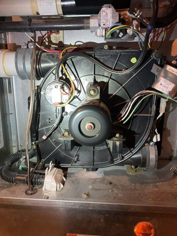Diagnosed 19-year-old furnace system with heavily dust-contaminated evaporator coils affecting system efficiency. Performed thorough cleaning of blower assembly and evaporator coils to restore proper airflow and heat exchange capacity.