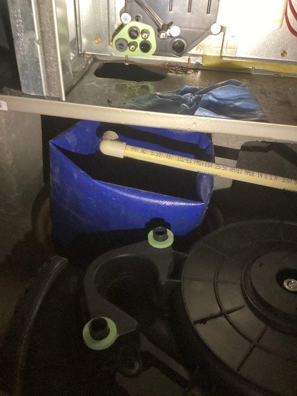 Responded to water leak call for 3-year-old Payne furnace exhibiting condensation around exhaust gasket. Upon inspection, identified faulty gasket seal allowing condensation to escape from heat exchanger assembly. Replaced exhaust gasket and verified proper sealing with no further moisture present during operational testing.