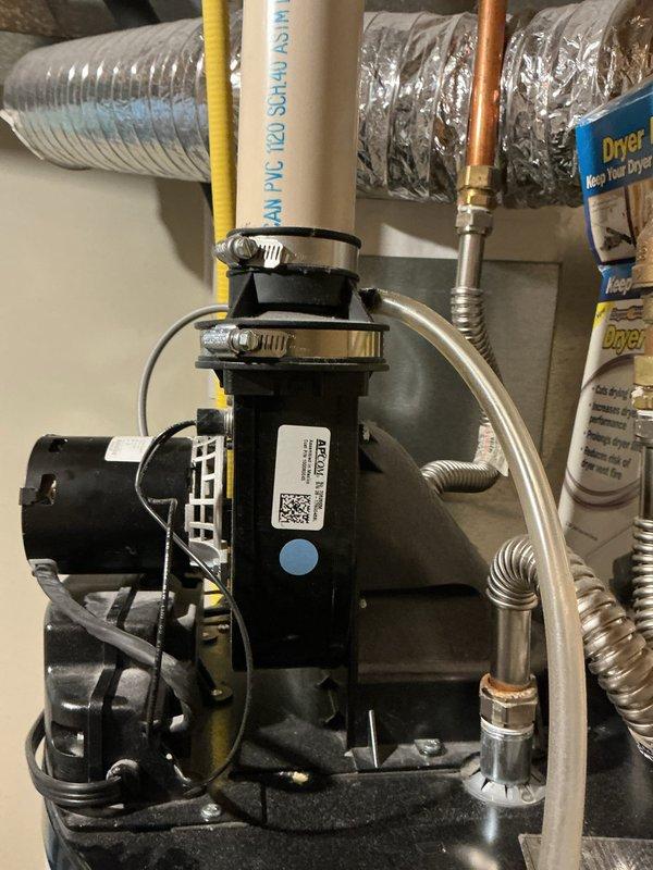 Diagnosed non-functioning 8-year-old water heater with failing heating elements and corroded connections. Replaced heating elements, cleaned terminal connections, and verified proper operation after repair. Unit now producing hot water with normal recovery time.