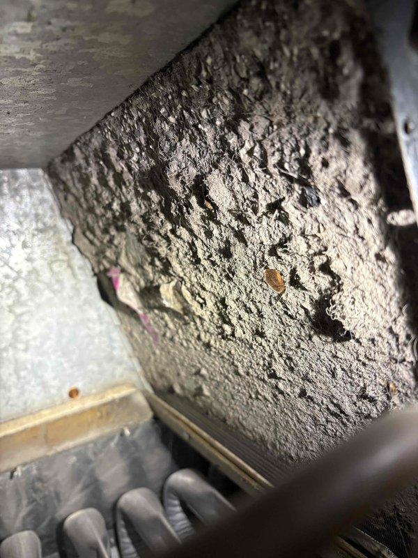 Responded to service call for furnace not cycling without manual reset. Upon inspection, identified excessive moisture on evaporator coil causing system malfunction. Cleaned condensate drainage system, verified proper operation after service, and explained manufacturer warranty details to customer regarding parts and labor coverage.