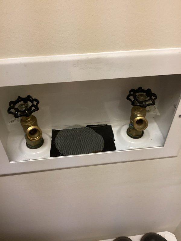 Inspected residential plumbing system in response to reports of intermittent foul odors from multiple drains. Located and examined utility access panel containing dual brass shutoff valves with black handles and ventilation screen. Documented condition of plumbing connections and determined source of odor was due to dry P-trap allowing sewer gases to escape. Restored proper trap seal function, eliminating the odor issue.