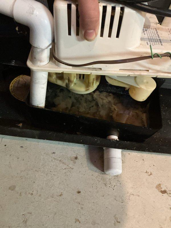 Performed annual heating maintenance on 2016 air handler with Club membership. Inspected condensate drain system and found evidence of mineral buildup in the drain pan and PVC components. Cleaned drainage assembly to prevent potential blockage and ensure proper system operation. Note: No humidifier present on system as specified in work order.