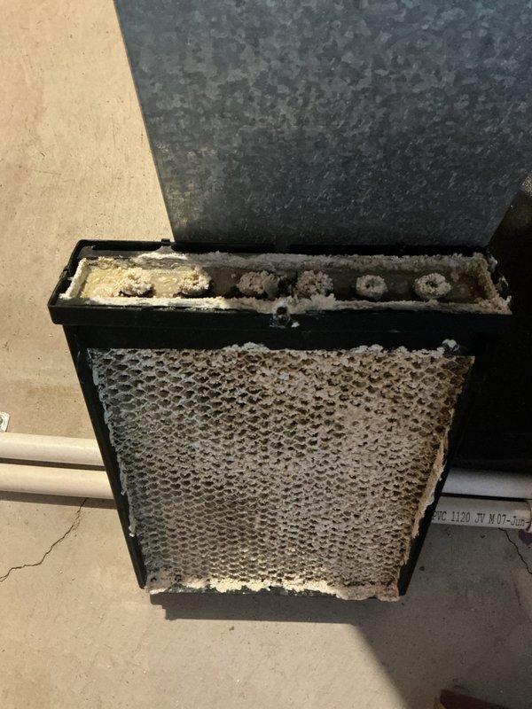 Performed annual heating maintenance on two furnaces and humidifier. Found severely clogged humidifier filter with significant mineral buildup and dust accumulation. Cleaned and serviced evaporator coil which showed extensive dirt contamination that was restricting proper system operation. Both components showed signs of neglected maintenance that could impact system efficiency and air quality.