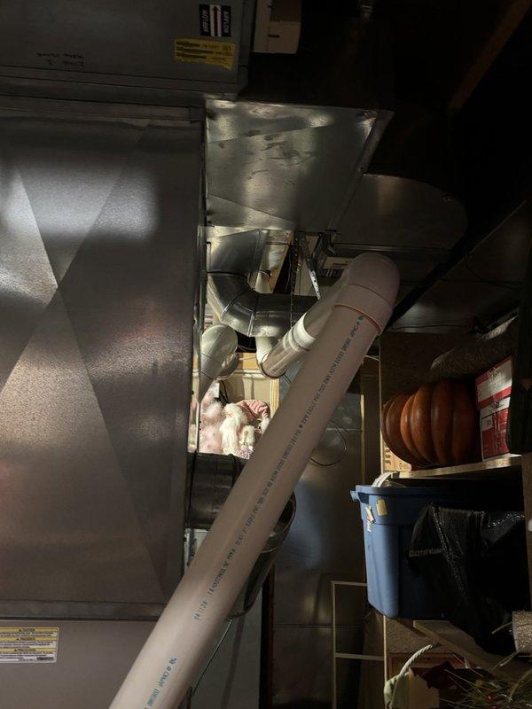 Performed Annual Heating Visit on 13-year-old Bryant furnace. Inspected intake venting for blockage and completed comprehensive tune-up. Identified humidity concerns and documented system condition with photos showing furnace location in basement utility area with proper PVC venting but limited clearance due to surrounding storage items.