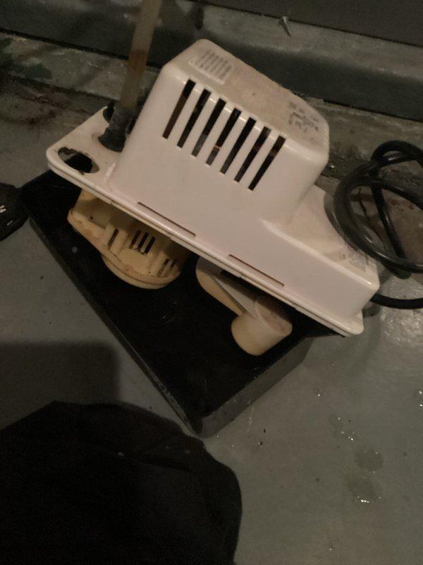 Replaced faulty thermocouple on Bradford White water heater (model WT 07-2029) that was causing pilot light to extinguish intermittently. Cleaned accumulated debris around gas valve assembly and verified proper pilot flame characteristics after repair, confirming stable operation.