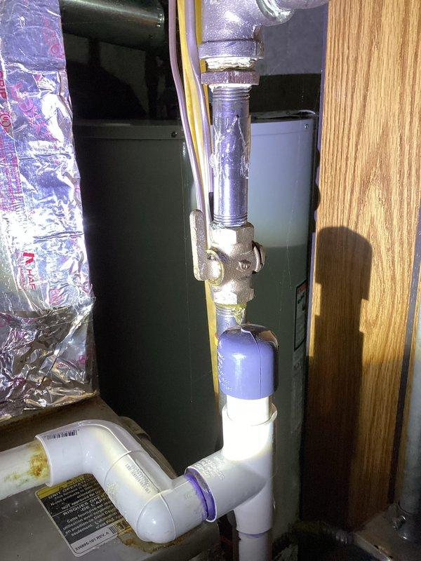 Performed annual heating maintenance on 15-year-old Bryant furnace per Comfort Club membership. Inspected plumbing and ventilation components in basement area including PVC drainage system and HVAC ductwork; all components in good working condition with no visible damage or deterioration. Examined utility room plumbing installation with galvanized steel pipe connected to brass valve fitting and PVC assembly - no leaks or corrosion detected.