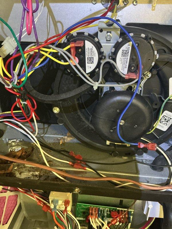 Performed complimentary annual heating system maintenance on 3-year-old EnergiAir furnace (warranty through 04-2027, CM: 2022). Inspected pressure switches, blower motor assembly, and circuit board connections. All electrical wiring and components were found in proper working condition with no signs of wear requiring attention. System includes humidifier which was also checked during service.