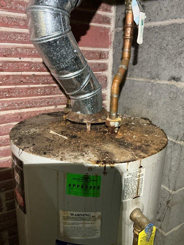 Responded to noise complaint in Carrier water heater (model WT 10-2028). Upon inspection, identified blower motor as source of screeching noise. Determined motor bearings were failing due to significant corrosion and debris buildup observed on unit's top surface and connection points. Serviced blower assembly and documented condition with photos for maintenance records.