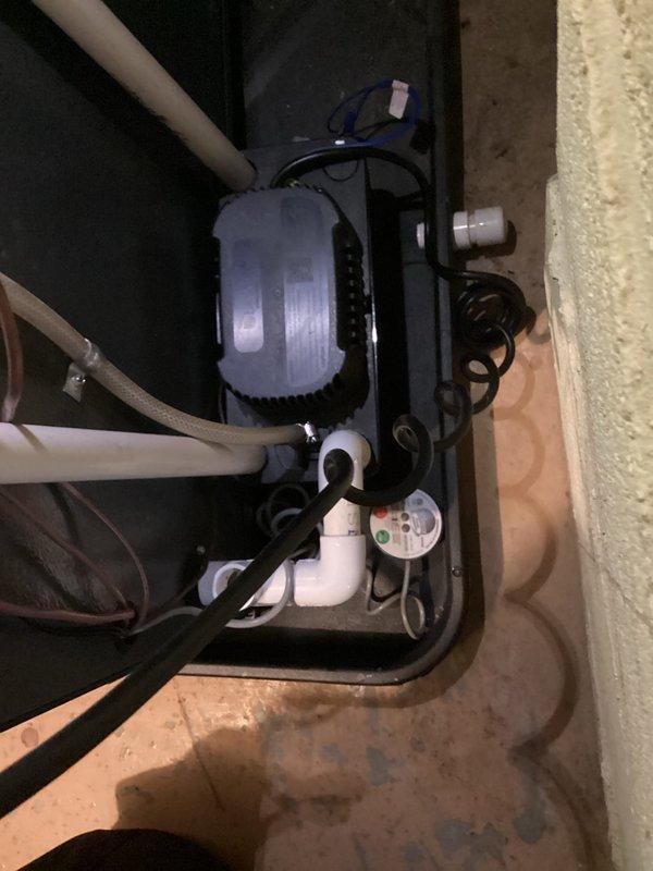 Completed annual heating service on furnace with integrated humidifier. Inspected drainage system including condensate pump and PVC piping for proper operation. Noted minor dust accumulation and cobwebs around unit but confirmed all components are functioning correctly with no immediate concerns.