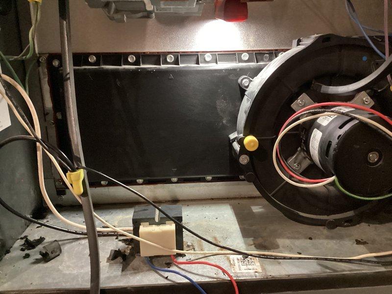 Performed annual furnace tune-up on 14-year-old EnergiAir system with humidifier. Inspected and tested blower motor functionality and electrical connections. Examined ESD filter which showed minimal usage as previously noted.