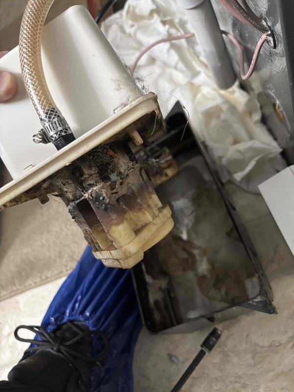 Performed annual heating tune-up on 6-year-old EnergiAir system (model WT 09-2029, CM: 2023). Identified deteriorated humidifier connection with visible corrosion and mineral buildup; cleaned drainage tray and inspected for proper operation. All maintenance completed successfully; system now functioning optimally.