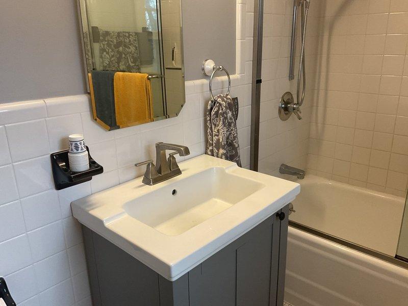 Cleared recurring bathroom drainage issues in both sink and tub that had persisted for several months in a 90-year-old home, which previous chemical drain opener treatments had failed to resolve. Performed thorough drain cleaning service to remove accumulated debris and restore proper drainage functionality to both fixtures.