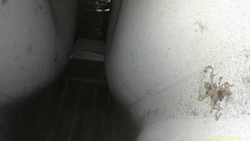 Completed annual heating tune-up on 16-year-old Trane furnace system. Performed diagnostic testing with readings of 119.4/20.2 and inspected ventilation/drainage components. Noted significant discoloration and possible mold growth in ductwork that requires attention.